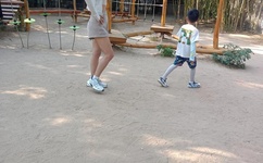 一杆钢枪勇挑四姐妹